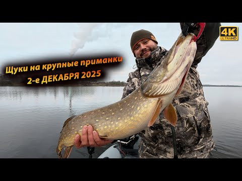 Зимние ТОЛСТЫЕ ЩУКИ любят КРУПНУЮ РЕЗИНУ - Рыбалка в декабре 2025