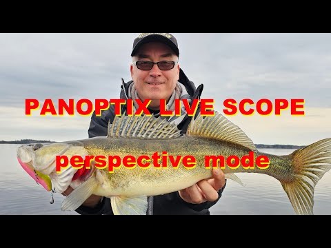 Panoptix Live Scope. Perspective mode. Panoptix Live Scope. Perspective mode.