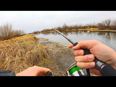 Растаял первый лёд.. Теперь щука на спиннинг ДУРОМ идёт! 