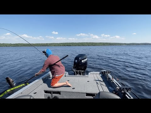 Первая рыбалка на BigBait'ы. Ловим на PigShad'ы. Джерк веной