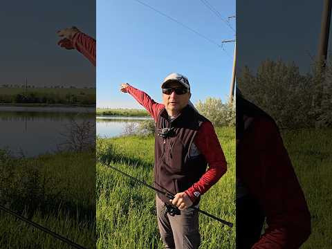 12 червня 2026 р. 12 червня 2026 р.