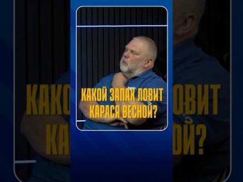Какой запах ловит карася весной? 