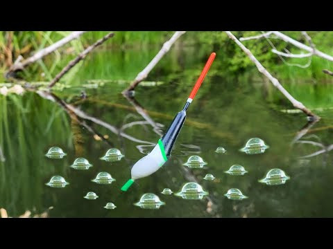 КРУПНЫЙ КАРАСЬ на СБРОЖЕННЫЙ ХЛЕБ. РЫБАЛКА на КАРАСЯ с ПОПЛАВОЧНОЙ УДОЧКОЙ ЛЕТОМ 2024 КРУПНЫЙ КАРАСЬ на СБРОЖЕННЫЙ ХЛЕБ. РЫБАЛКА на КАРАСЯ с ПОПЛАВОЧНОЙ УДОЧКОЙ ЛЕТОМ 2024