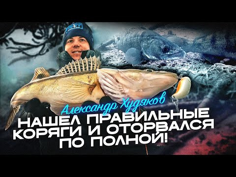 Техника поиска и ловли судака на вибы в корягах. ПОДВОДНАЯ СЪЕМКА и РЫБОЛОВНЫЕ ЛАЙФХАКИ Техника поиска и ловли судака на вибы в корягах. ПОДВОДНАЯ СЪЕМКА и РЫБОЛОВНЫЕ ЛАЙФХАКИ