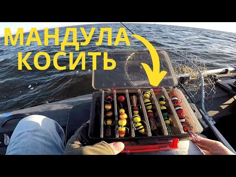 Час МАНДУЛИ НАСТАВ , Судак на мандули клює в заглот, Рибалка Час МАНДУЛИ НАСТАВ , Судак на мандули клює в заглот, Рибалка