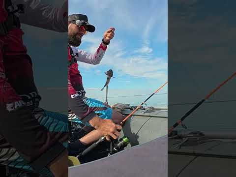 Клюнув МОРДОВОРОТ #рибалка #shorts #fishing Клюнув МОРДОВОРОТ #рибалка #shorts #fishing