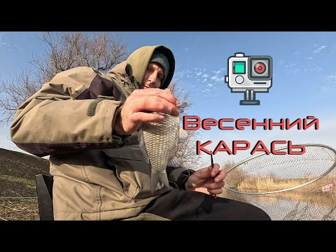 Весенний фидер. Карась попёр! Компания супер!