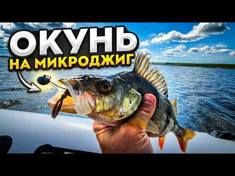 ОКУНЬ НА МИКРОДЖИГ. ПРИМАНКИ НА ОКУНЯ ОКУНЬ НА МИКРОДЖИГ. ПРИМАНКИ НА ОКУНЯ