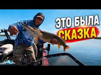 Щука на мышь! Жерех на тейлспиннер &mdash; ЭТО БЫЛА СКАЗКА