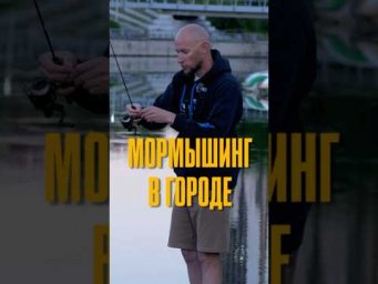 Мормышинг в городе: рыбалка за полчаса до работы