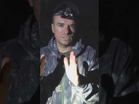 В какое время сом клюет?  #рыбалка #assistancetv #фидер #fishing #carpfishing #сом #рыбалкаудалась