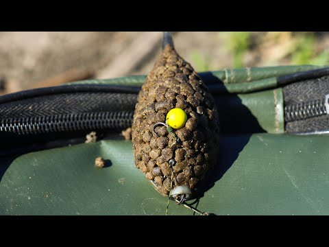 Рыбы тут много, рыбалка на донку, оснастка флэт-фидер