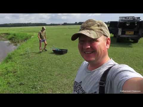 Давайте сосочки . Теребонькает часто, но заглотить не могут.