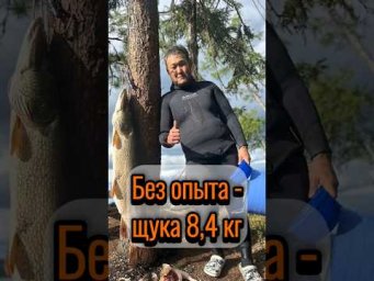 С нуля до трофея