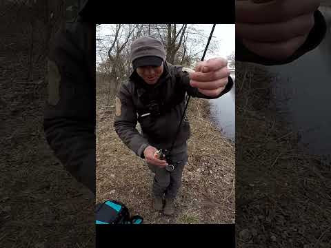 Синявий РВЕ Мікрушку #shorts #рибалка #Плотва Синявий РВЕ Мікрушку #shorts #рибалка #Плотва