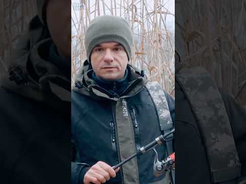 Как выбрать уловистую приманку самому.  #assistancetv #рыбалка #fishing