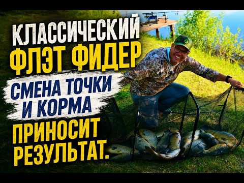 Классический флэт фидер. Смена точки и корма приносит результа.