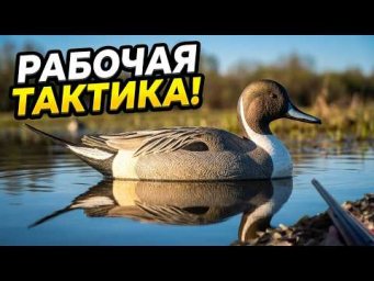 Охотничьи приёмы и тактика | Что действительно привлекает уток!