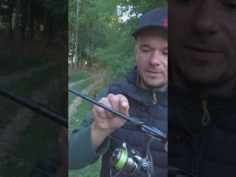Провис или ловля на дуге? #ультралайт #рыбалка#fishing #assistancetv #весенняярыбалка#рыбалкаудалась
