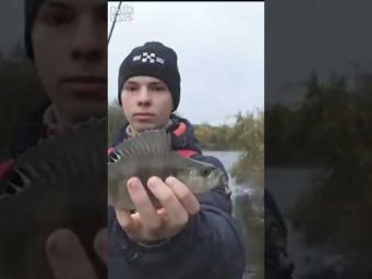 НЕ делай ТАК    #assistancetv #fishing #рыбалка  #спининг  #ульралайт #окунь  #поплавок  #рыба