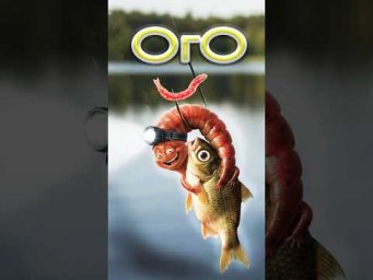 ОГО ноябрь?   #рыбалка #fishing  #рыбалканафидер #assistancetv #лещ #холоднаявода #стрим #спінінг