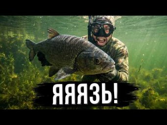 Прозрачная река и Яяязь