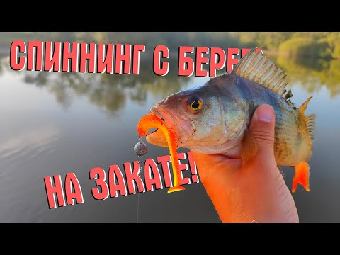 СПИННИНГ С БЕРЕГА НА ЗАКАТЕ! УДАЧНАЯ ВЕЧЕРНЯЯ РЫБАЛКА
