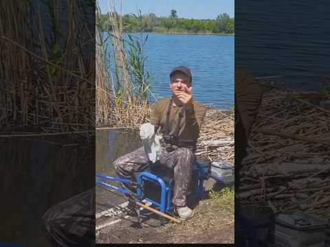 Всегда с собой на рыбалке  #fishing #assistancetv #рыбалка #фидер   #рыбалканафидер #рыбалкаудалась