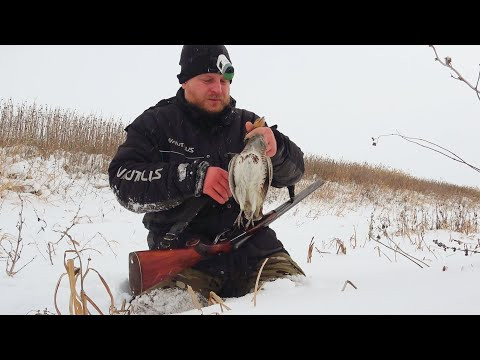 ОХОТА НА КУРОПАТКУ. В ПОИСКАХ ЗАЙЦА. ЗАВАЛИЛО СНЕГОМ. Охота на зайца и серую куропатку. ОХОТА НА КУРОПАТКУ. В ПОИСКАХ ЗАЙЦА. ЗАВАЛИЛО СНЕГОМ. Охота на зайца и серую куропатку.