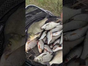 Улов на реке Нёман