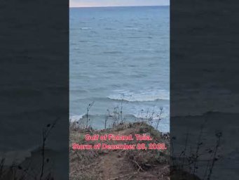 Gulf of Finland. Toila. Storm of December 28, 2025.