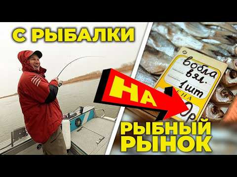 ВОТ ПОЧЕМУ ИЗ АСТРАХАНИ РЫБУ МЕШКАМИ ВЕЗУТ! ЗАЕХАЛИ ПОСЛЕ РЫБАЛКИ НА АСТРАХАНСКИЙ РЫНОК ЗА ВОБЛОЙ!