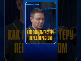 А вы знаете, когда лучше всего ловить густеру?