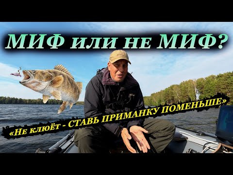 Проверяем МИФ про МАЛЕНЬКИЕ ПРИМАНКИ когда НЕТ КЛЁВА