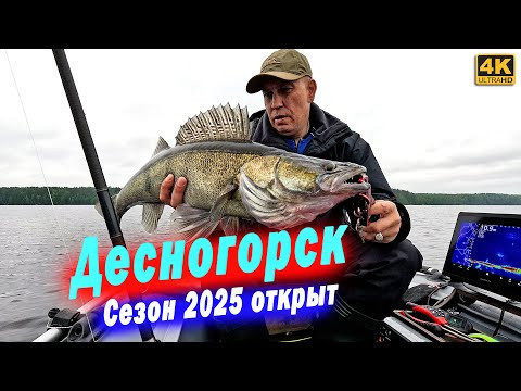 Судаки, Сомы, Щуки теперь им не спрятаться. Нерестовый запрет закончился