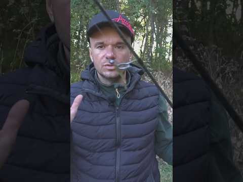 Какой ЦВЕТ приманки выбрать?  #рыбалка #ультралайт #рыбалкаудалась #assistancetv #проводка #fishing