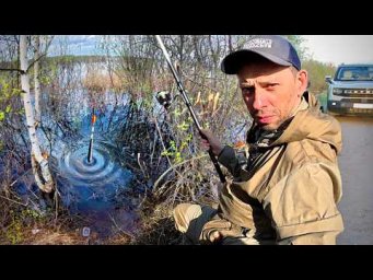 Отвратительно, НО ИНТЕРЕСНО! Придорожный КАРАСЬ!