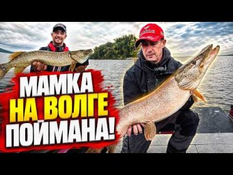 КЛЮНУЛО ТАК, ЧТО СПИННИНГ СОГНУЛО. МАМКА НА ВОЛГЕ ПОЙМАНА!