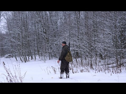 По насту за глухарем. Охота с ночевкой.