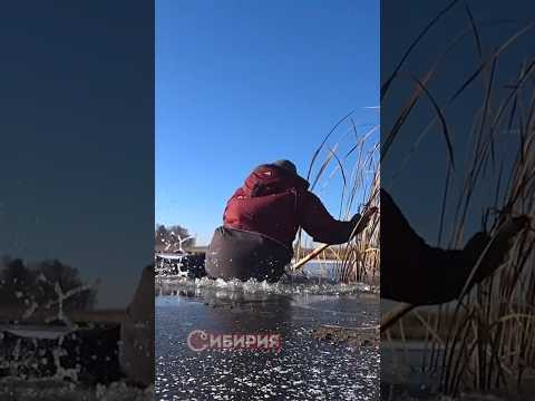 ПЕРВЫЙ ЛЁД И ПРОВАЛИЛСЯ! #рыбалка #fishing #первыйлед  #сибирия #рыба
