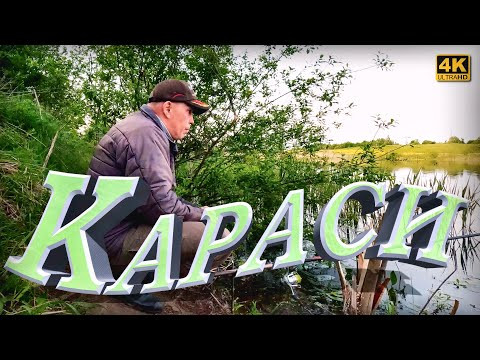 Караси в конце мая 2024. Рыбалка на удочку Караси в конце мая 2024. Рыбалка на удочку