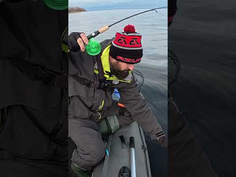 ВОНО давить нереально  #fishing #рибалка #carpfishing