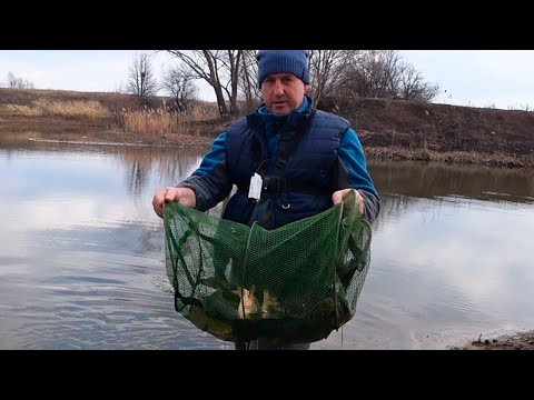 Ловля карпа на удочку и фидер! Ловля карпа по холодной воде!