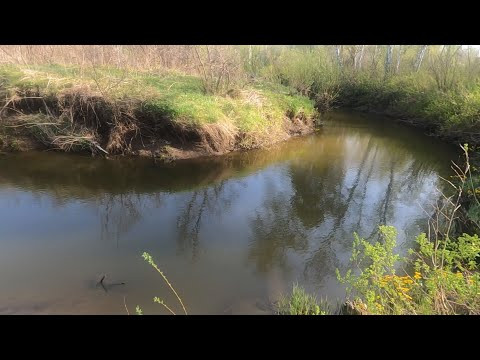 ХАПНУЛИ на ЛЕСНОМ РУЧЬЕ!!!