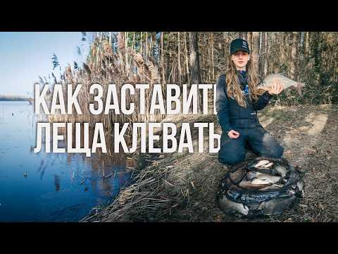 Рабочая тактика на леща весной. СЕКРЕТ закорма на ВОДОХРАНИЛИЩЕ.