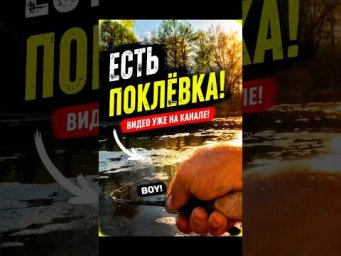 Этот кренк уже КЛАССИКА &ndash; Zipbaits Baby Hickory SR 