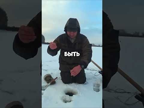 О боже, это МОНСТР! #рыбалка О боже, это МОНСТР! #рыбалка