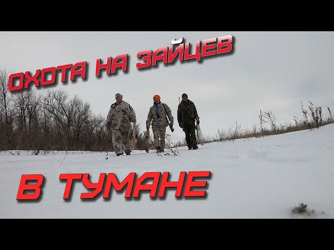 Охота на зайца в тумане. Охота с собаками.