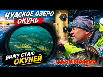 Ловля окуня. Vasknarva. Васкнарва