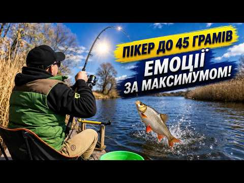 Подивіться яка ГАРНА РИБА КЛЮЄ з цієї КЛАДКИ!!!
